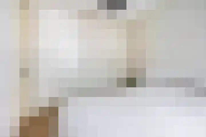 Oranjehof 10 Lisse thumbnail 25
