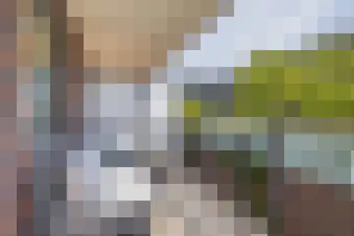Oranjehof 10 Lisse thumbnail 26