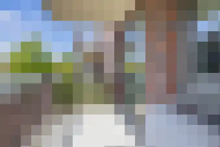 Oranjehof 10 Lisse thumbnail 27
