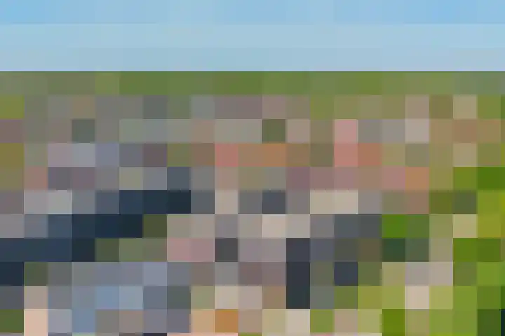 Oranjehof 10 Lisse thumbnail 35