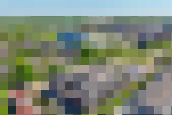 Oranjehof 10 Lisse thumbnail 38