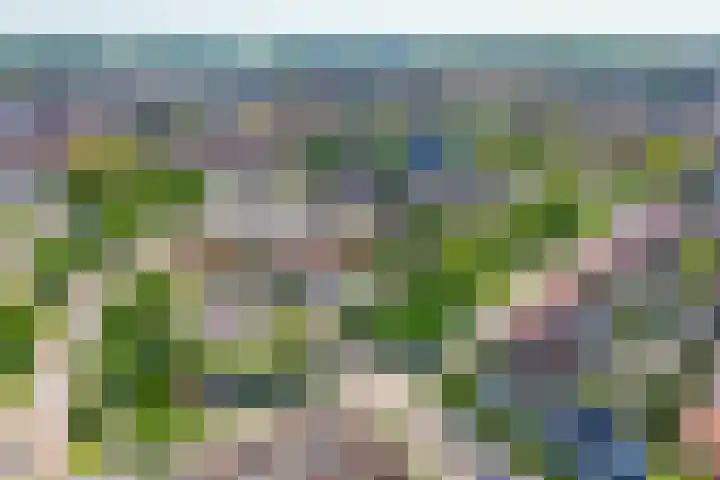 Oranjehof 10 Lisse thumbnail 40