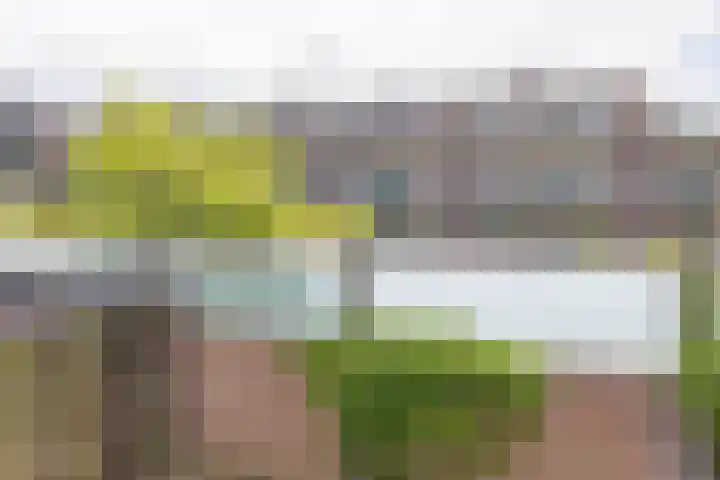 Oranjehof 10 Lisse thumbnail 41