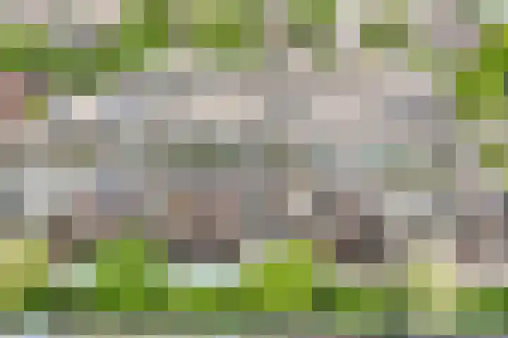 Oranjehof 10 Lisse thumbnail 43