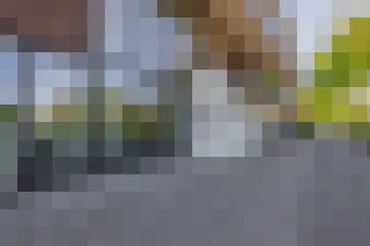 Oranjehof 10 Lisse thumbnail 5