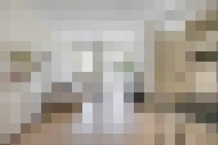 Oranjehof 10 Lisse thumbnail 9