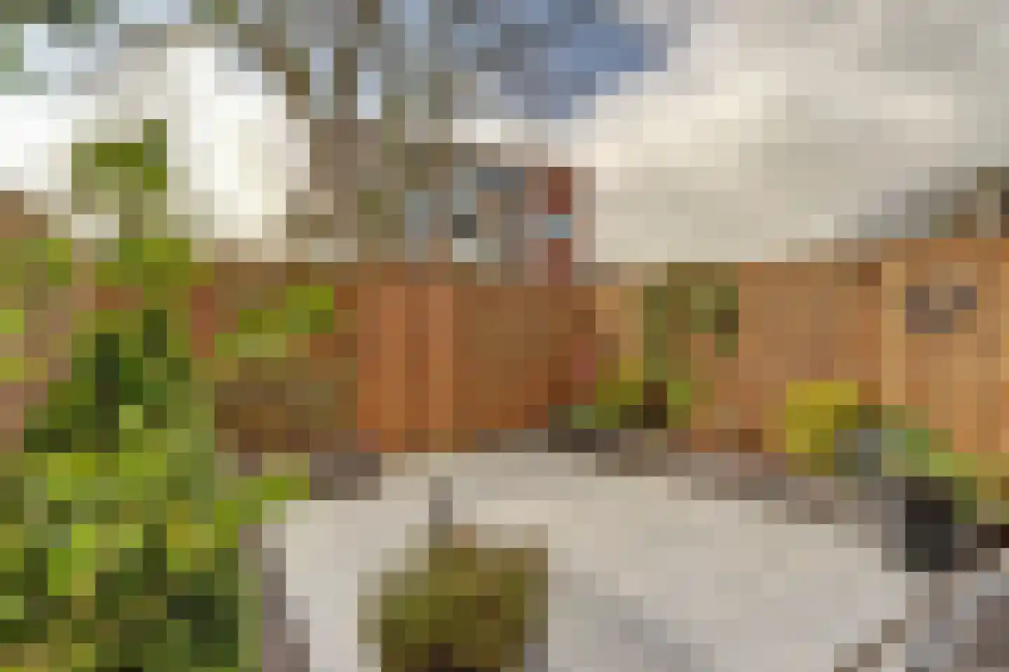 Oranjehof 111 Leerdam thumbnail 26