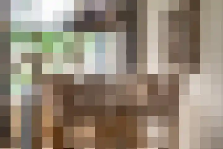 Oranjehof 12 Swalmen thumbnail 12
