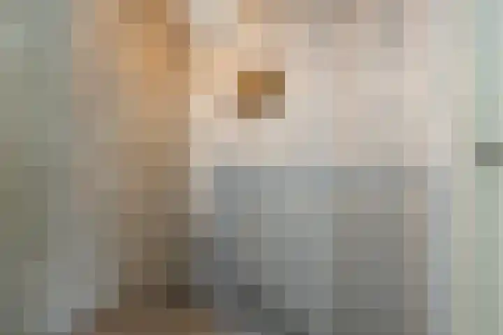 Oranjehof 12 Swalmen thumbnail 17