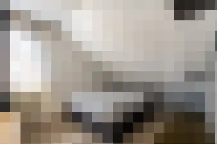 Oranjehof 12 Swalmen thumbnail 20