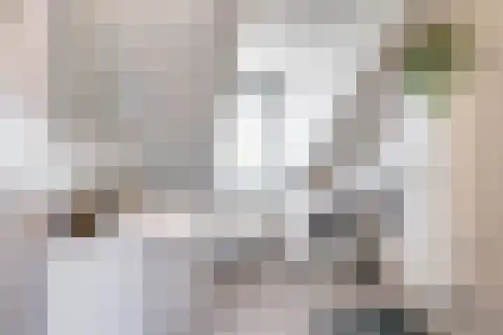 Oranjehof 12 Swalmen thumbnail 22
