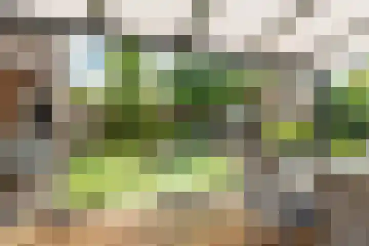 Oranjehof 12 Swalmen thumbnail 25