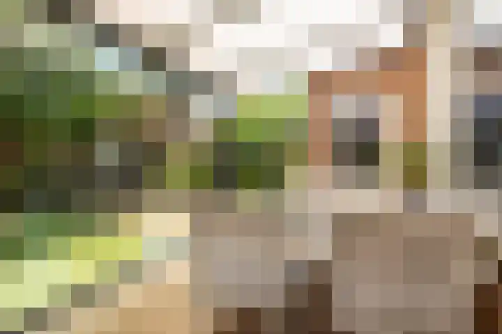 Oranjehof 12 Swalmen thumbnail 26
