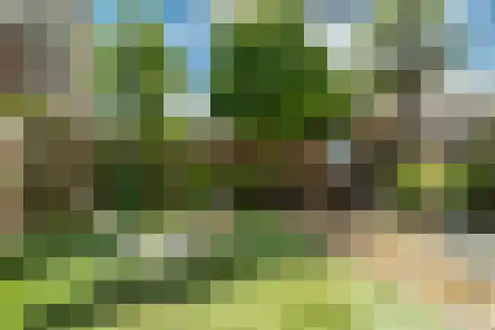 Oranjehof 12 Swalmen thumbnail 27