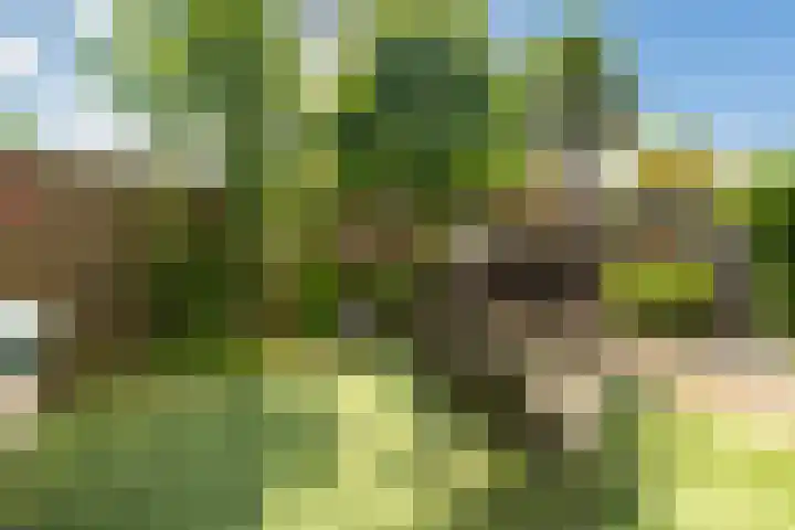 Oranjehof 12 Swalmen thumbnail 28
