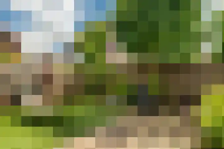 Oranjehof 12 Swalmen thumbnail 31