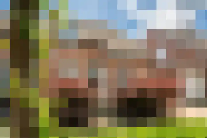 Oranjehof 12 Swalmen thumbnail 33