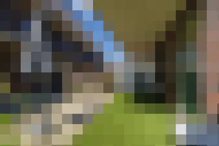 Oranjehof 2 Lisse thumbnail 11