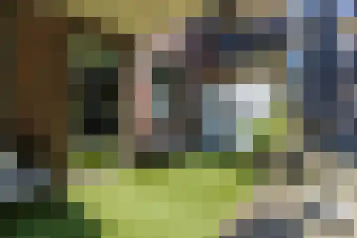 Oranjehof 2 Lisse thumbnail 13