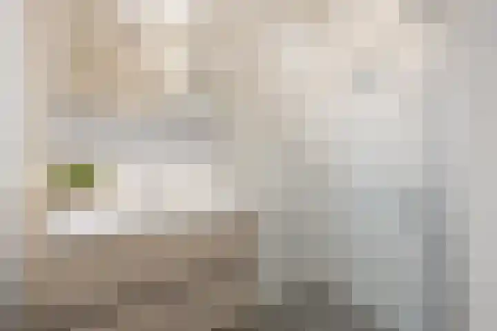 Oranjehof 2 Lisse thumbnail 19