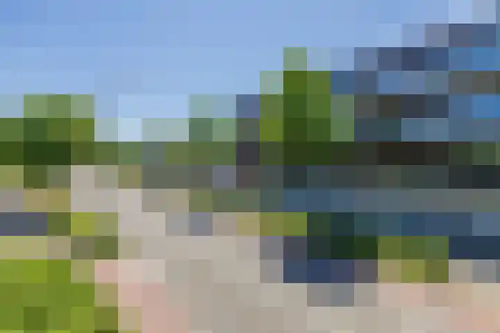 Oranjehof 2 Lisse thumbnail 25