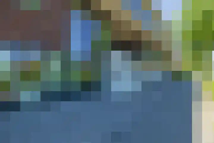 Oranjehof 2 Lisse thumbnail 4