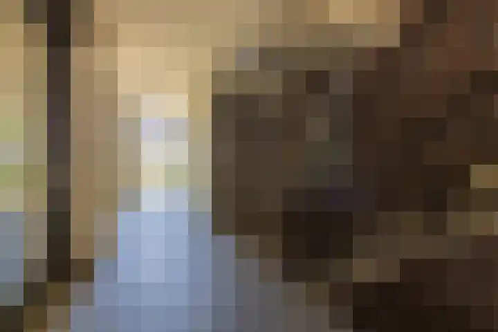 Oranjehof 2 Lisse thumbnail 5