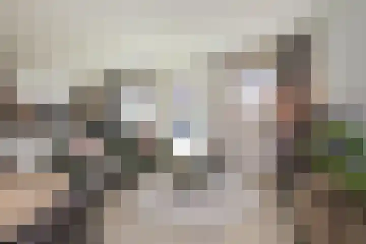 Oranjehof 2 Lisse thumbnail 8