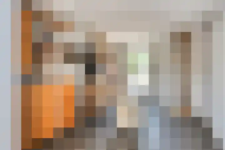 Oranjehof 2 Randwijk thumbnail 21