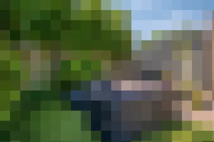 Oranjehof 2 Randwijk thumbnail 39