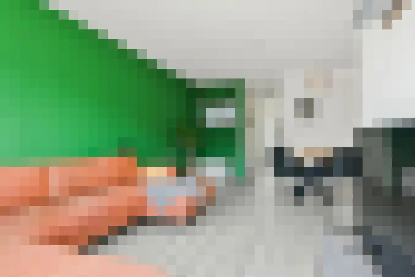 Oranjehof 24 Lisse thumbnail 29