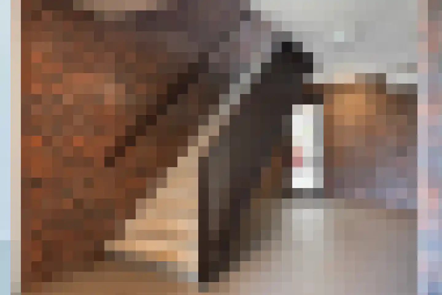 Oranjehof 24 Lisse thumbnail 7