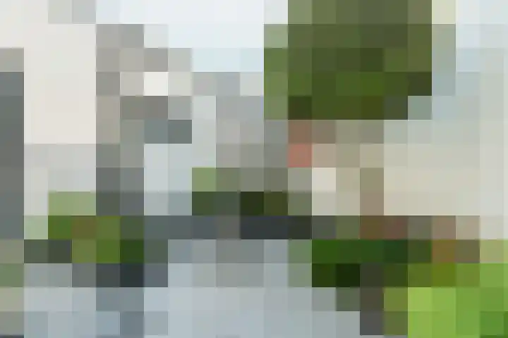 Oranjehof 3 Zevenaar thumbnail 33