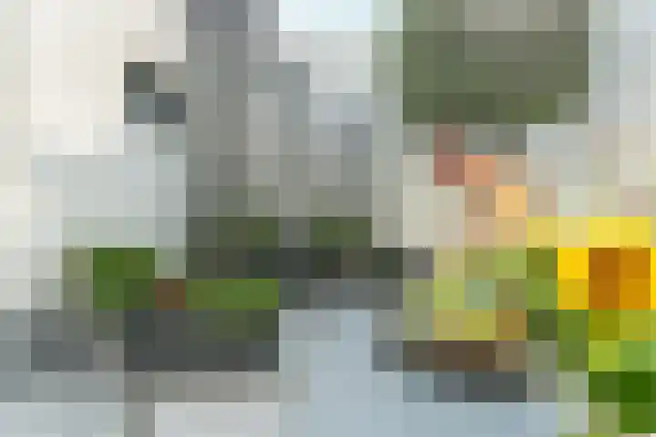 Oranjehof 3 Zevenaar thumbnail 34