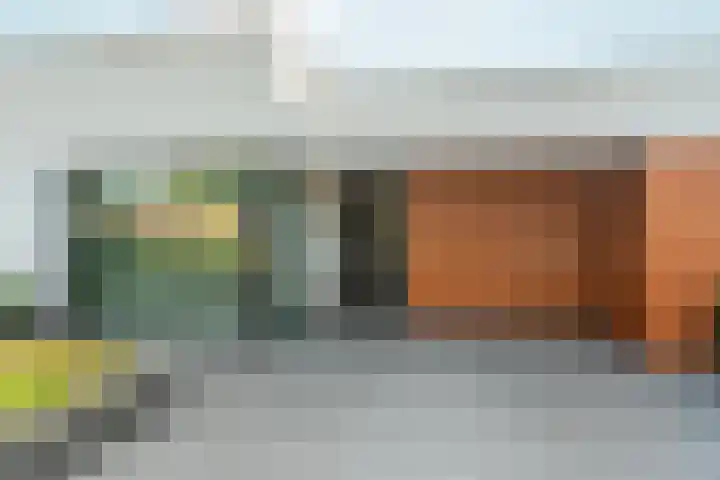 Oranjehof 3 Zevenaar thumbnail 38