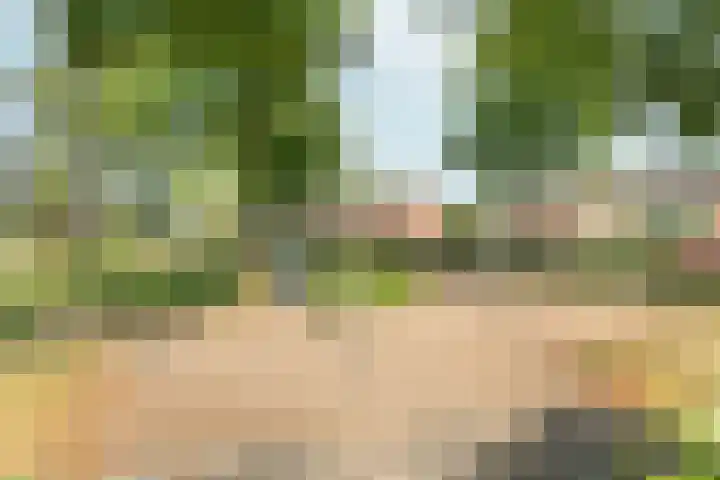 Oranjehof 3 Zevenaar thumbnail 42