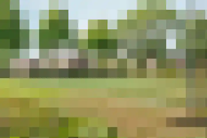 Oranjehof 3 Zevenaar thumbnail 43