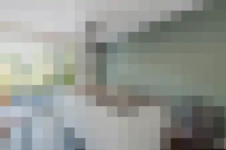 Oranjehof 3 Zevenaar thumbnail 9