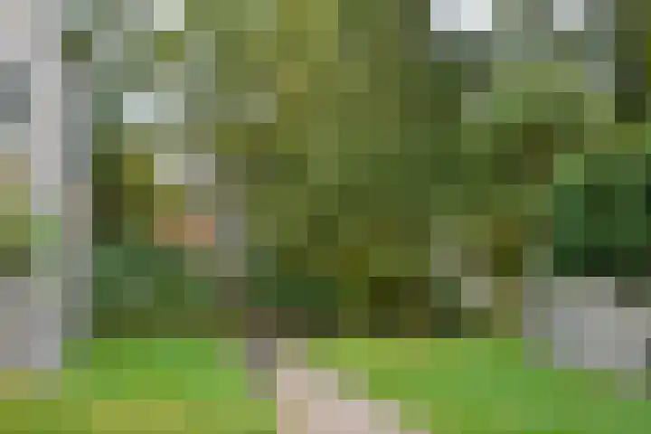 Oranjehof 31 Soest thumbnail 20