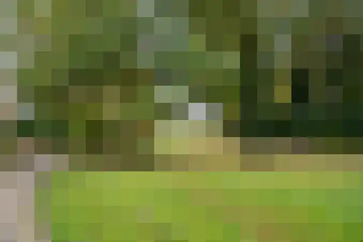 Oranjehof 31 Soest thumbnail 21