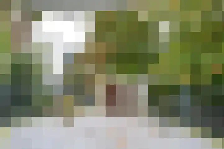Oranjehof 31 Soest thumbnail 7
