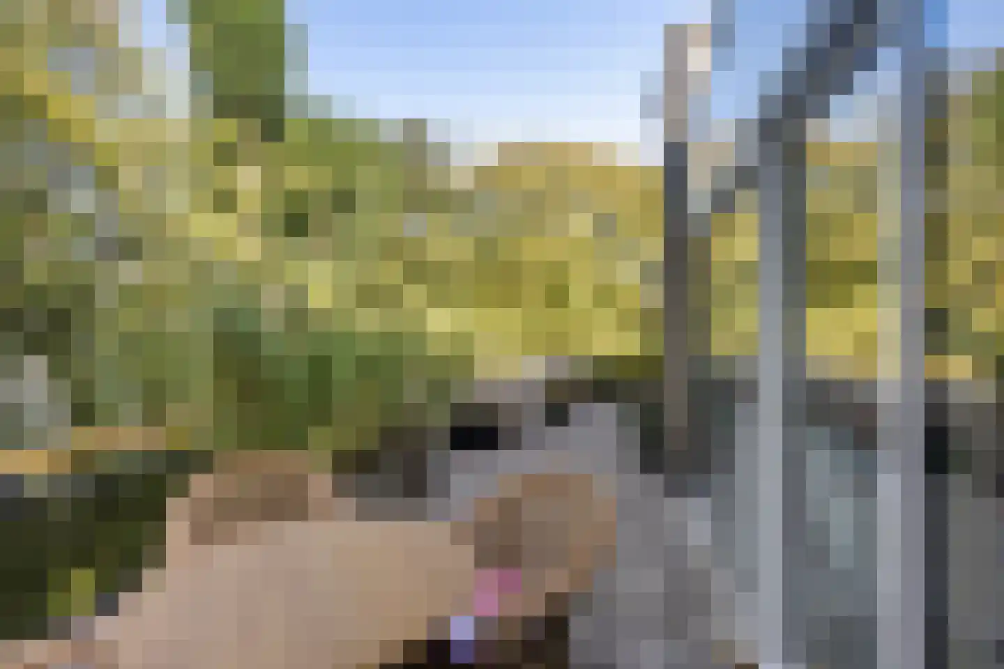 Oranjehof 33 Soest thumbnail 4