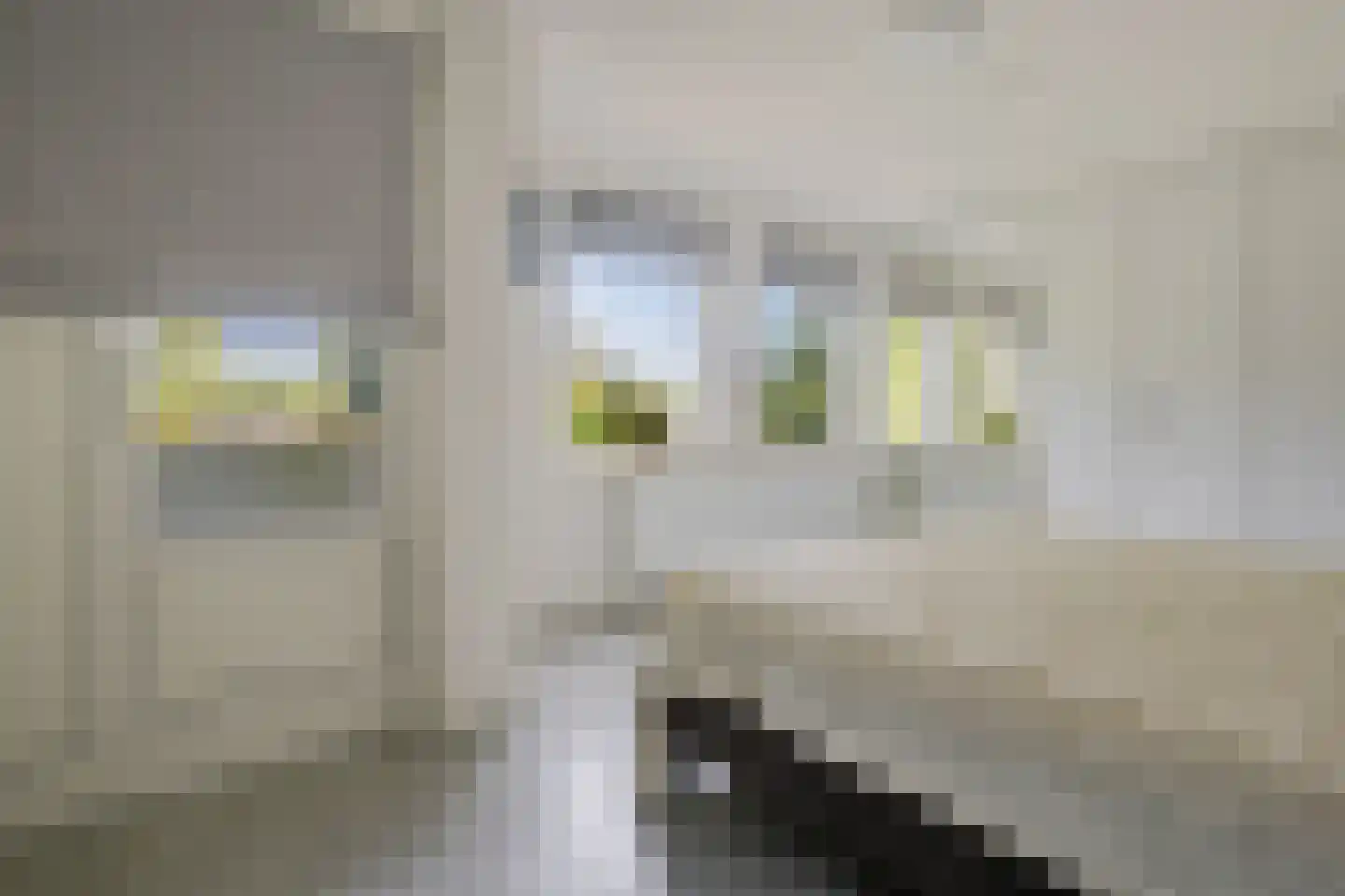 Oranjehof 33 Soest thumbnail 5