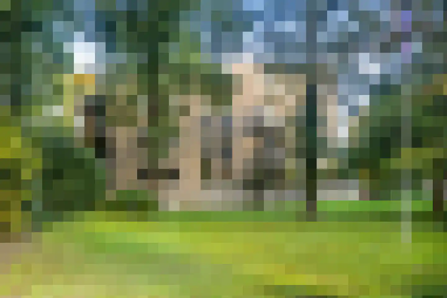Oranjehof 33 Soest thumbnail 6