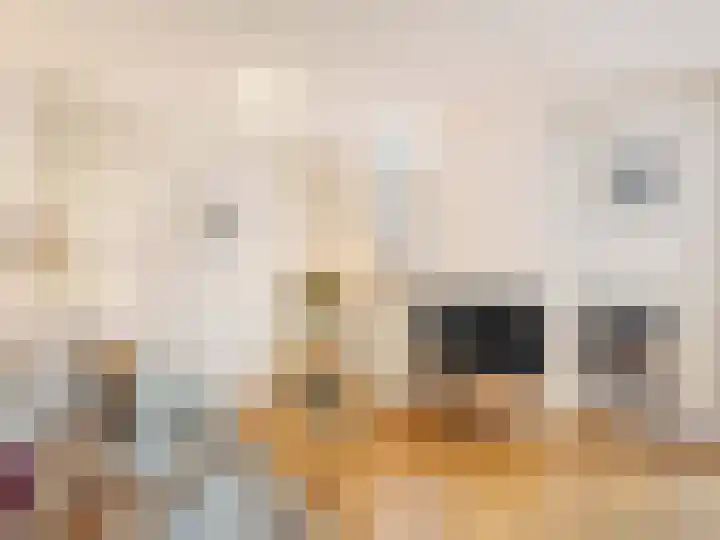 Oranjehof 42 Utrecht thumbnail 13