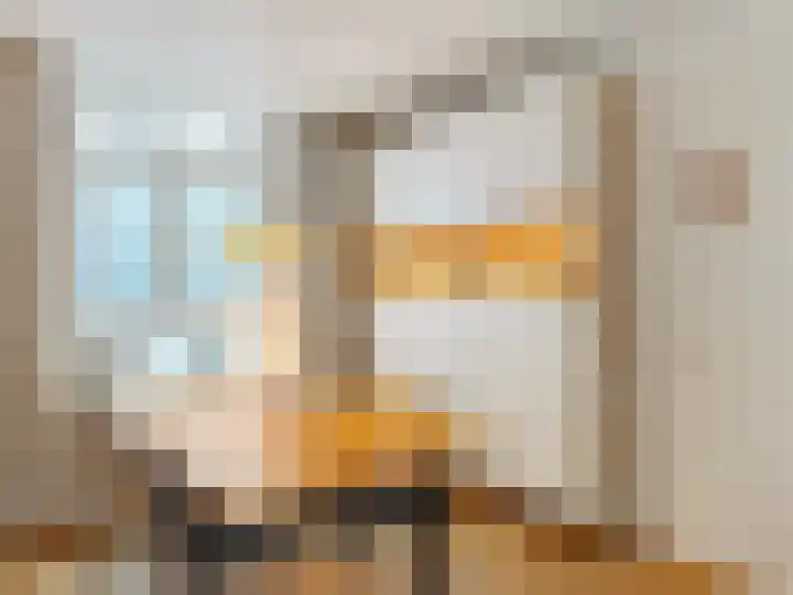 Oranjehof 42 Utrecht thumbnail 14