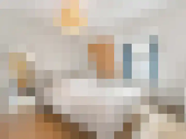 Oranjehof 42 Utrecht thumbnail 25