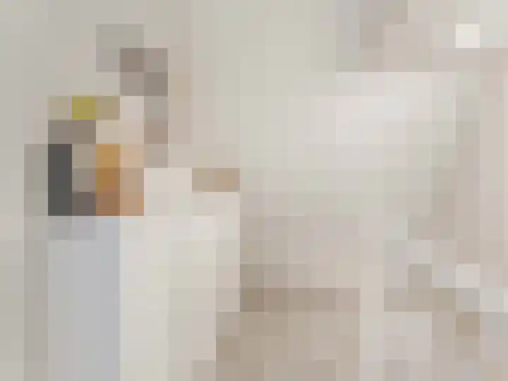 Oranjehof 42 Utrecht thumbnail 26