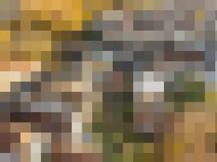 Oranjehof 42 Utrecht thumbnail 29