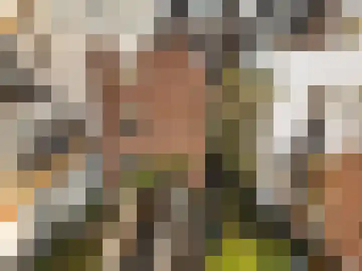 Oranjehof 42 Utrecht thumbnail 30